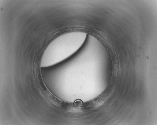 X0000082170263200701191028