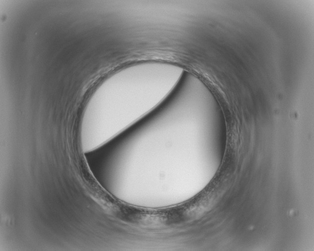 X0000082170303200701191027