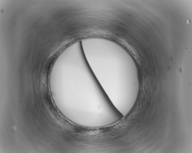 X0000082170306200701191027