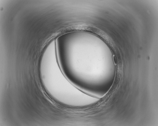 X0000082170397200701191025