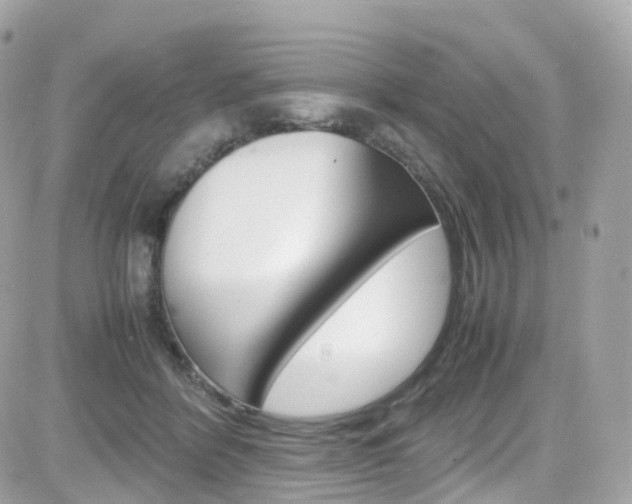 X0000082170412200701191025