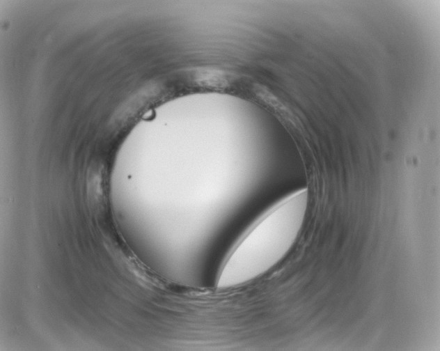 X0000082170424200701191025