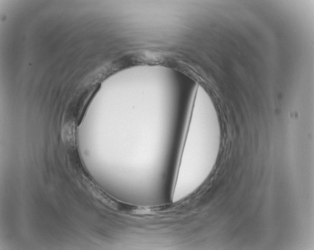 X0000082170425200701191025