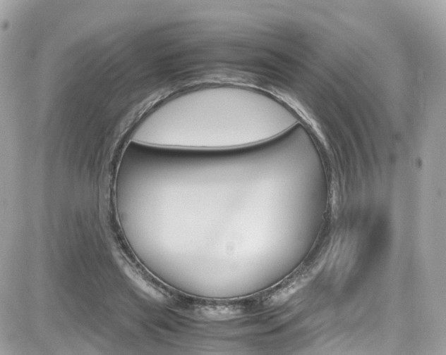 X0000082170445200701191024