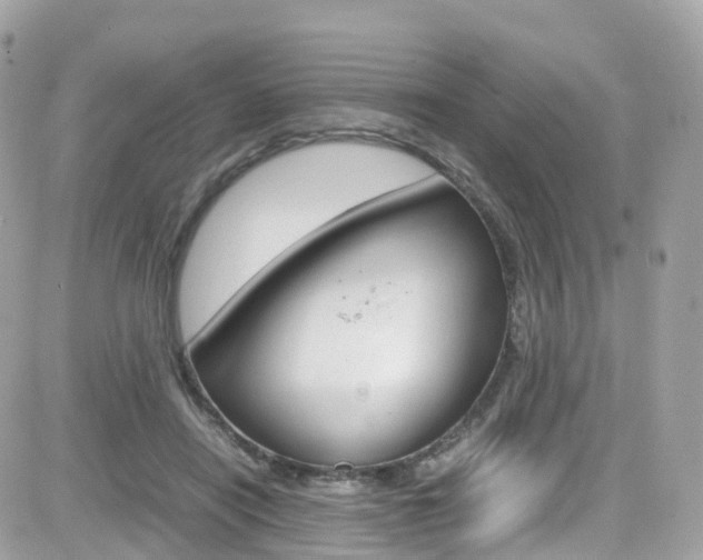 X0000082170454200701191024