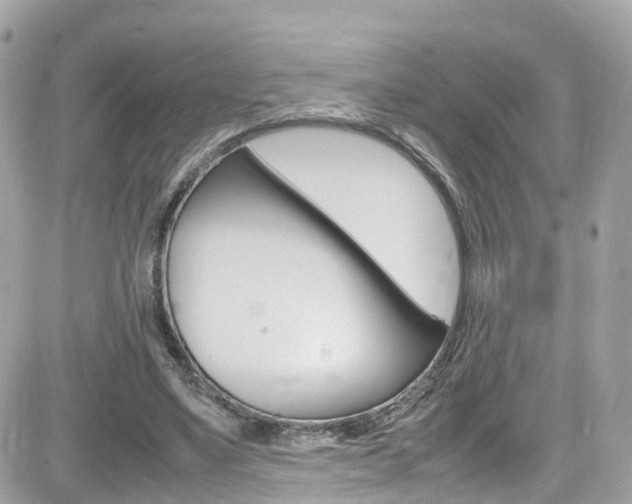 X0000082170491200701191024