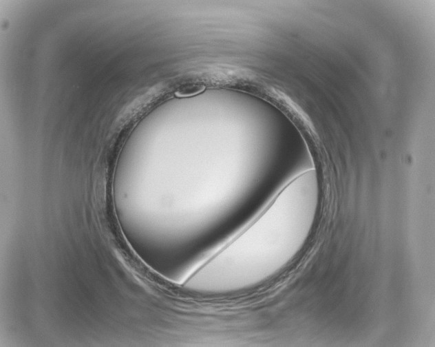 X0000082170493200701191024
