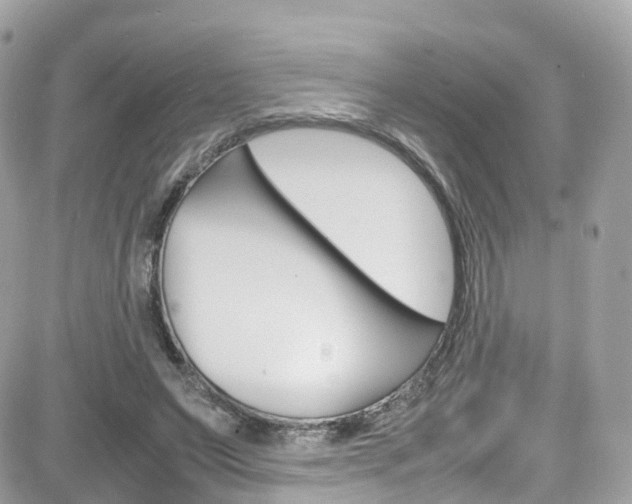 X0000082170495200701191024