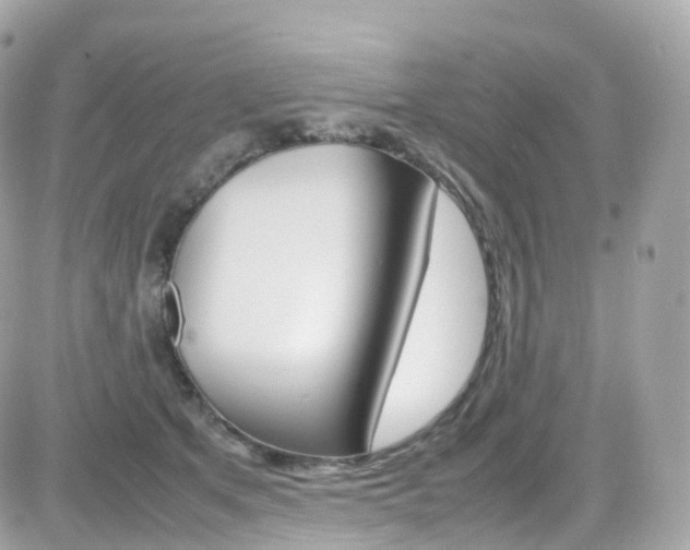 X0000082170513200701191024