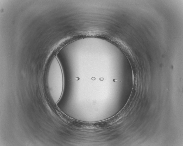 X0000082170540200701191023