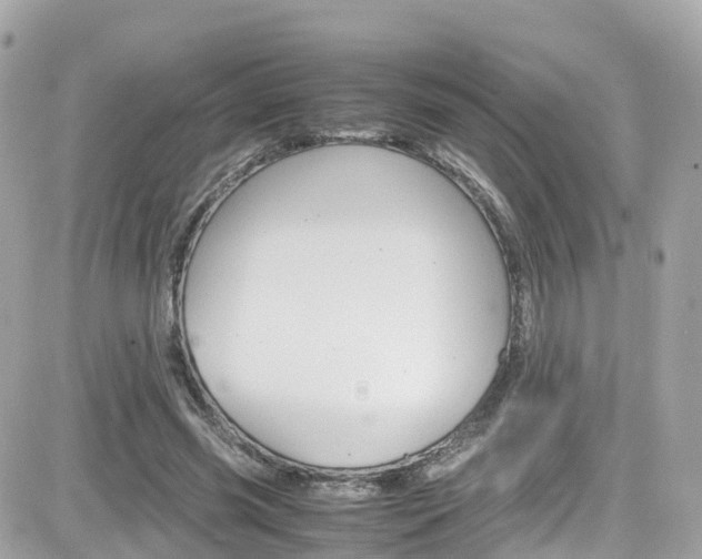 X0000082170541200701191023