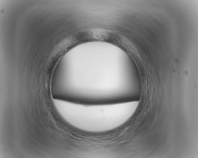 X0000082170595200701191022
