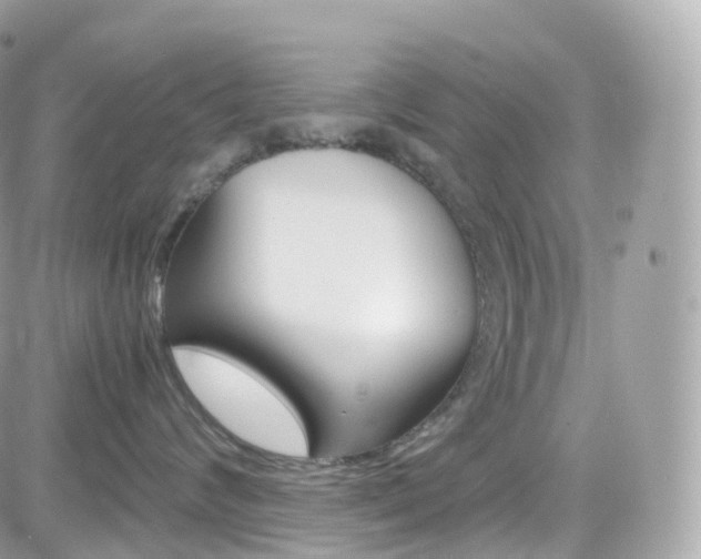 X0000082170624200701191022