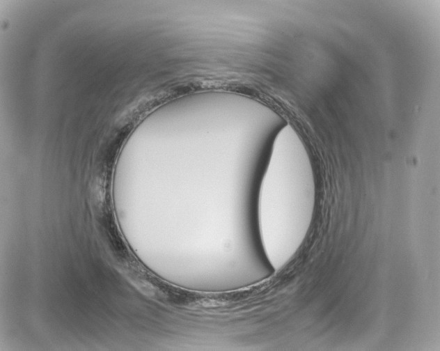 X0000082170691200701191021