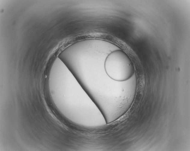 X0000082170734200701191020
