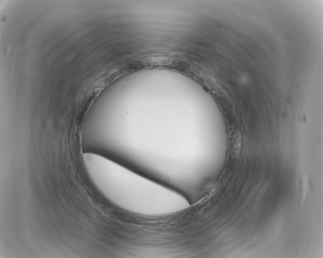 X0000082170746200701191020