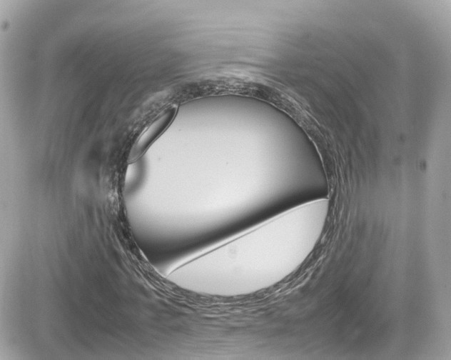 X0000082170771200701191019