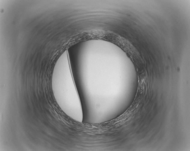 X0000082170772200701191019
