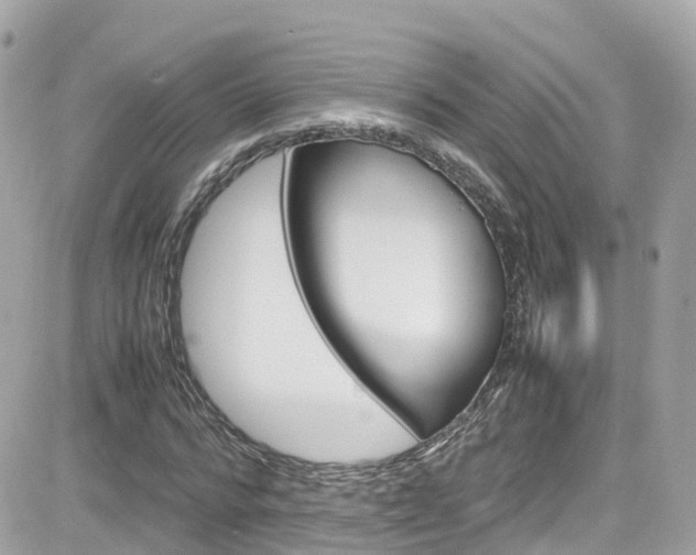 X0000082170776200701191019
