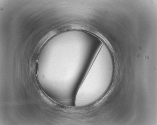 X0000082170801200701191019