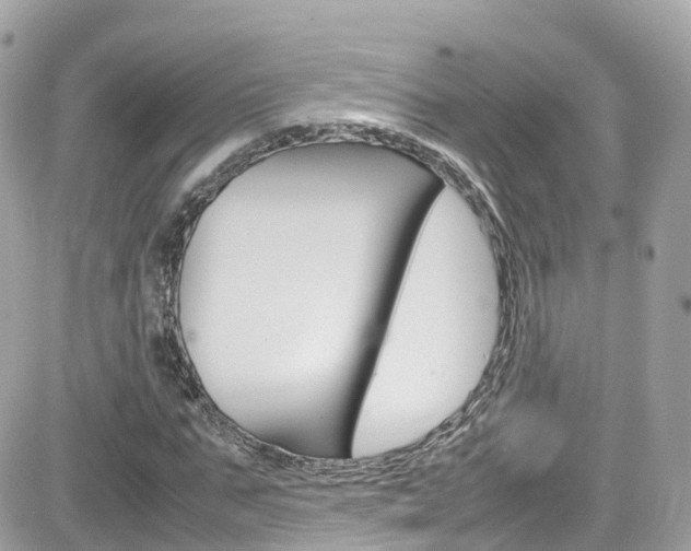 X0000082170871200701191018