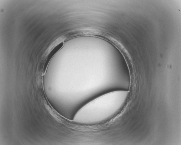 X0000082170889200701191017