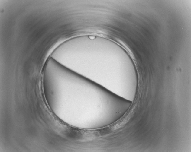 X0000082170899200701191017