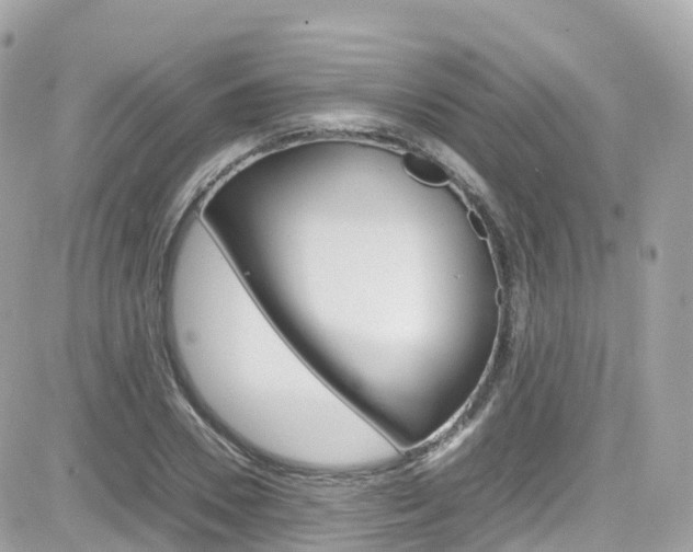 X0000082170930200701191017