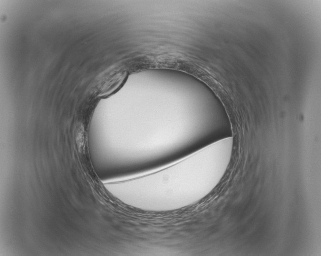 X0000082170963200701191016