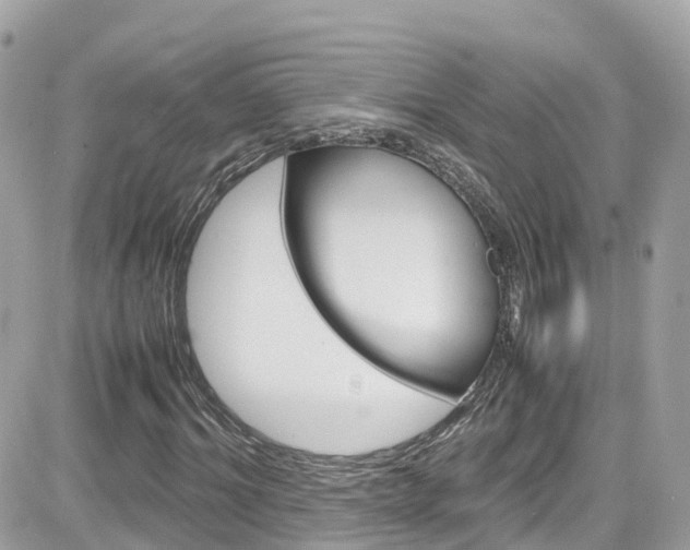 X0000082170964200701191016