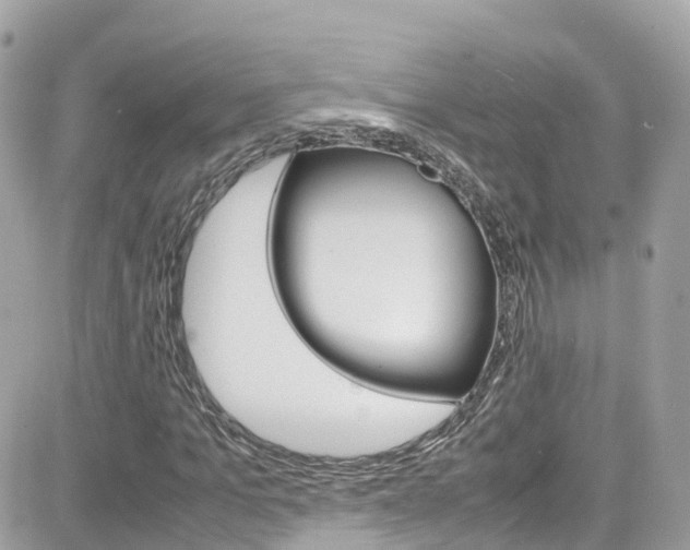 X0000082170965200701191016