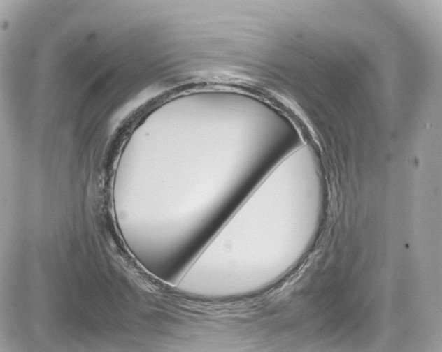 X0000082170971200701191016