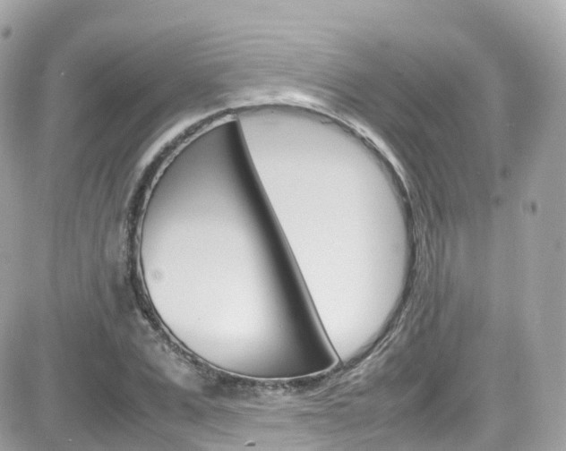 X0000082170975200701191016