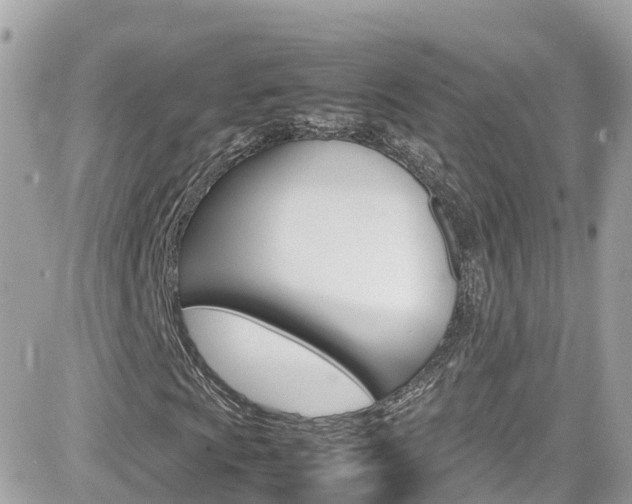 X0000082171009200701191015