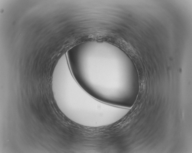 X0000082171012200701191015