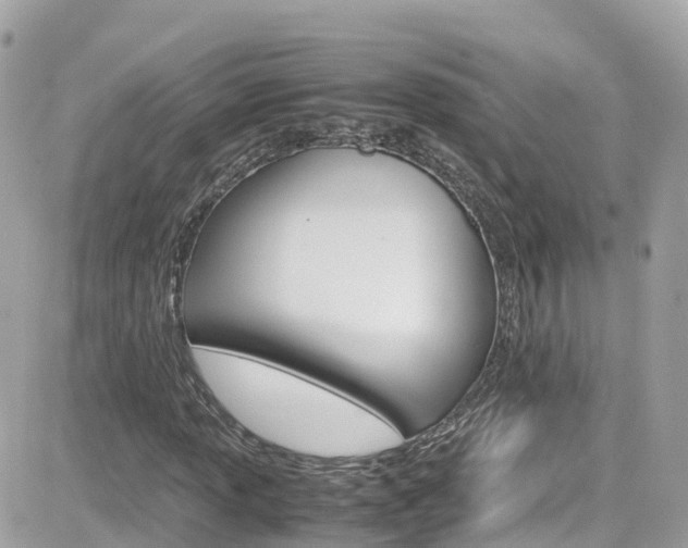 X0000082171013200701191015