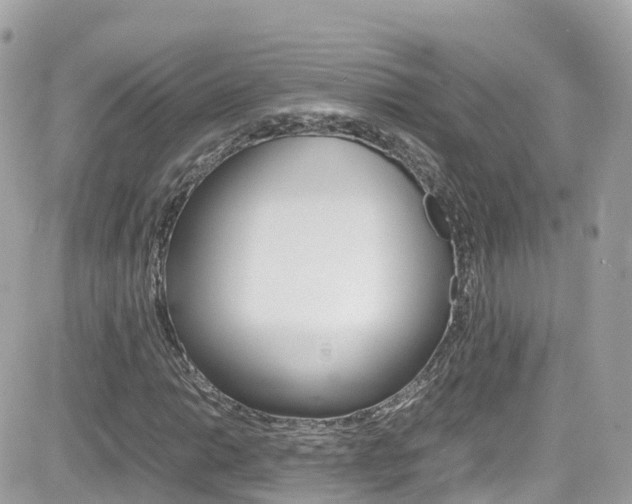X0000082171014200701191015