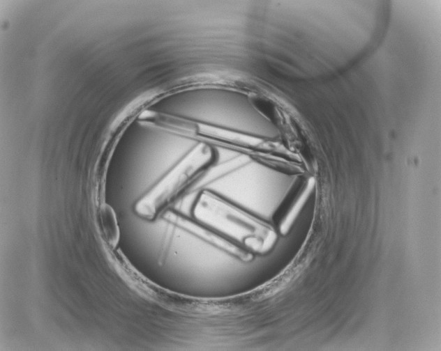 X0000082171034200701191015