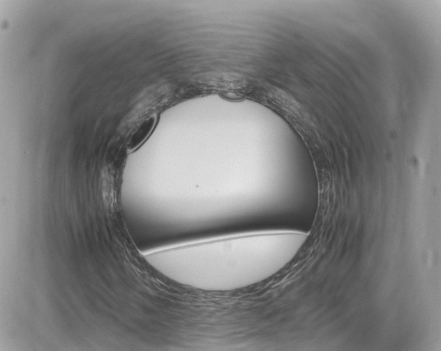 X0000082171058200701191015