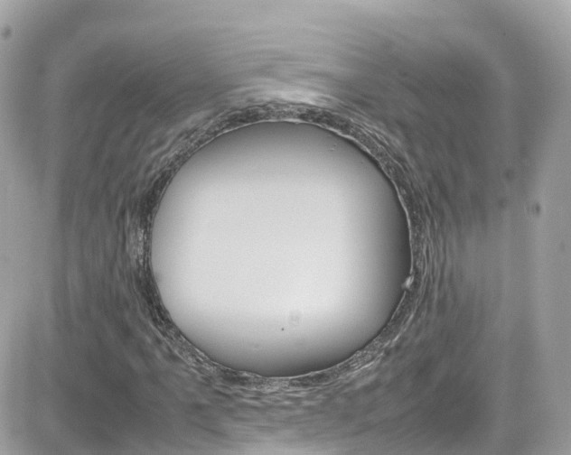 X0000082171061200701191015