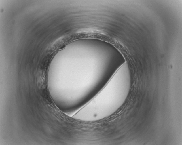 X0000082171062200701191015
