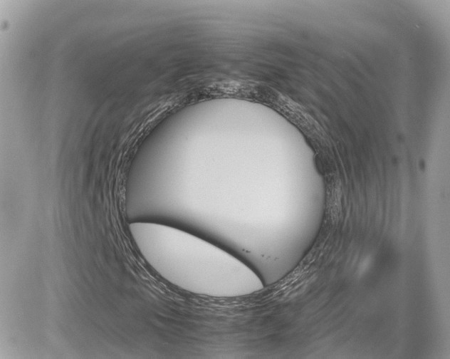 X0000082171105200701191013