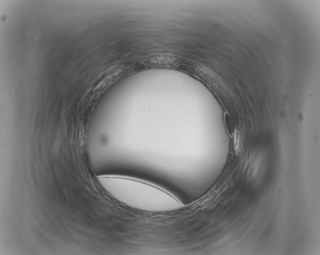 X0000082171107200701191013