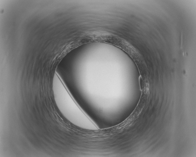 X0000082171108200701191013