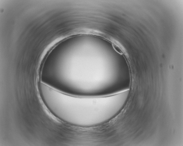 X0000082171136200701191014