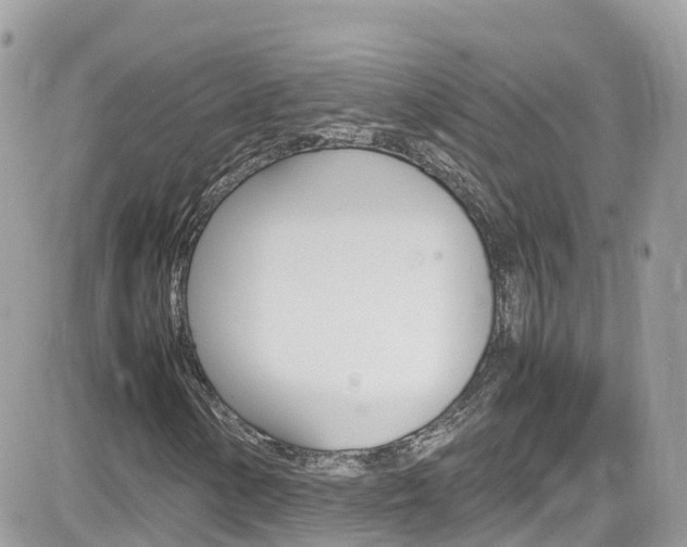 X0000082171154200701191013