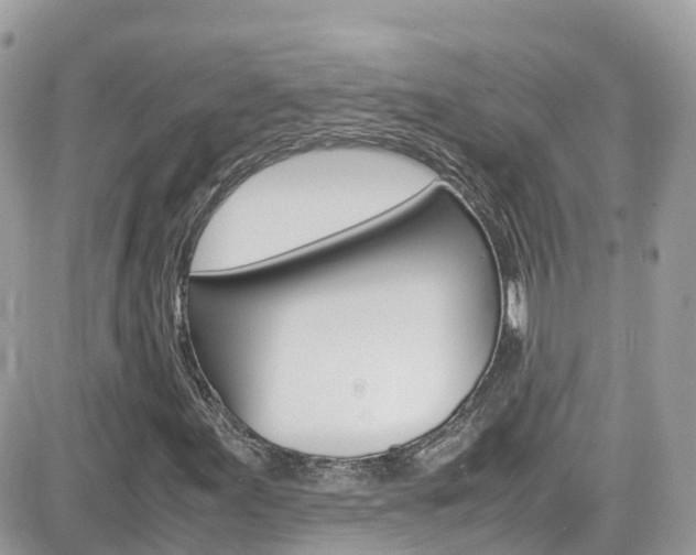 X0000082171155200701191013