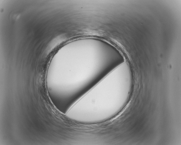 X0000082171163200701191013