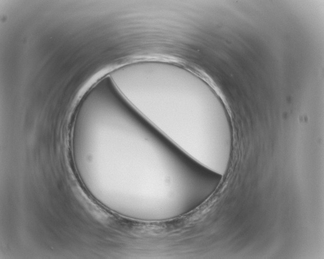 X0000082171187200701191013