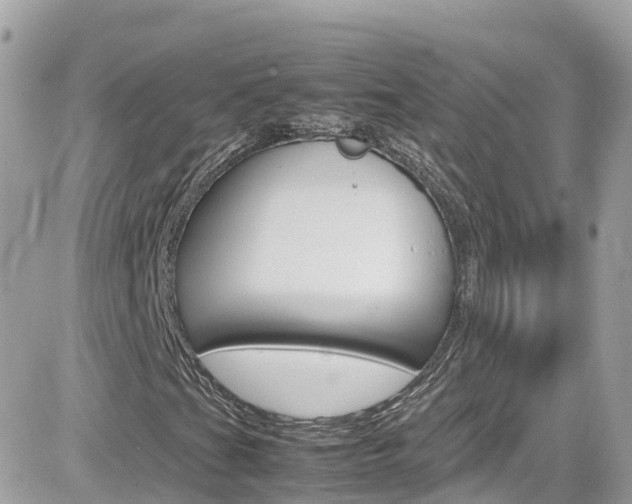 X0000082171201200701191012